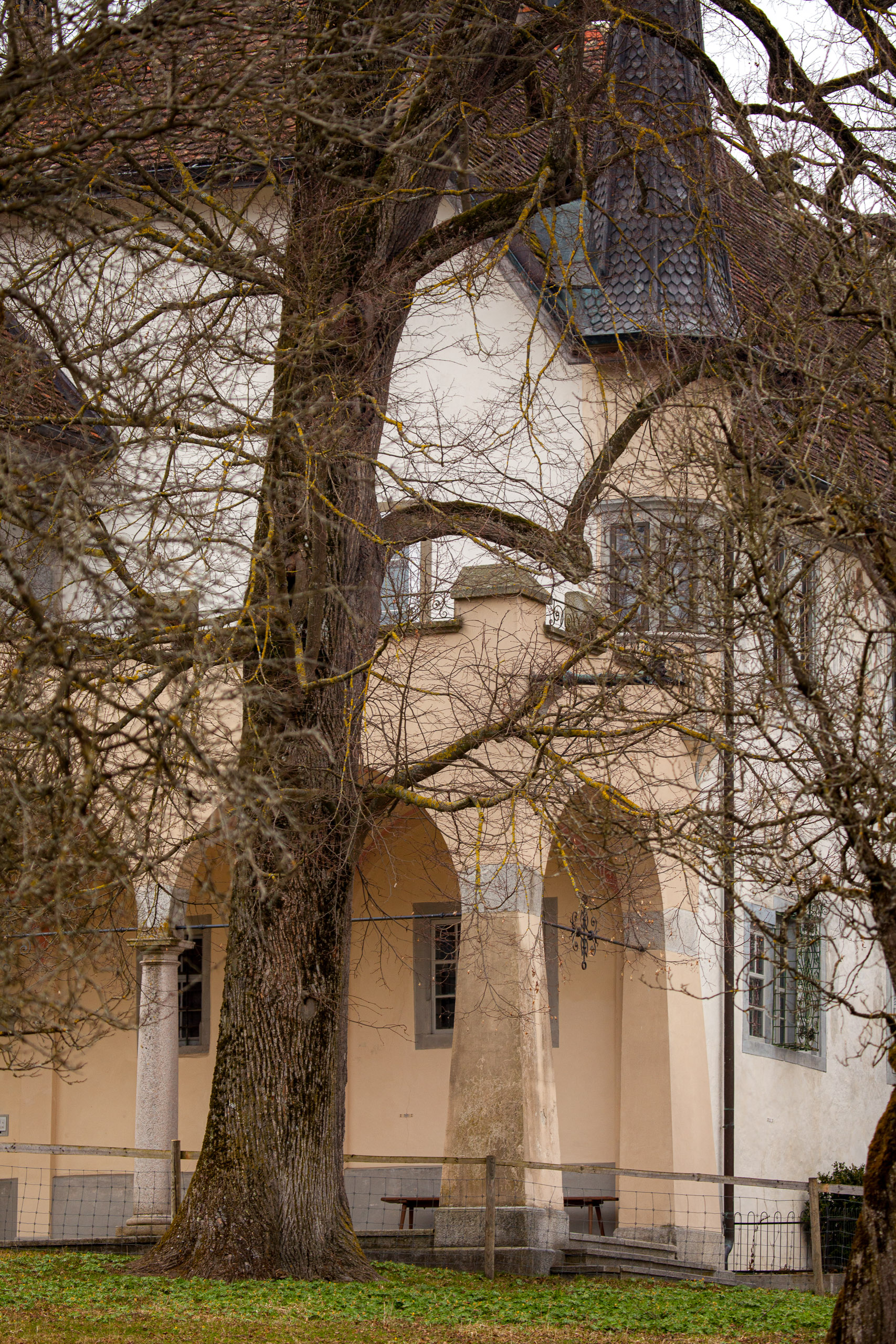 20110313133332 IMG 7253